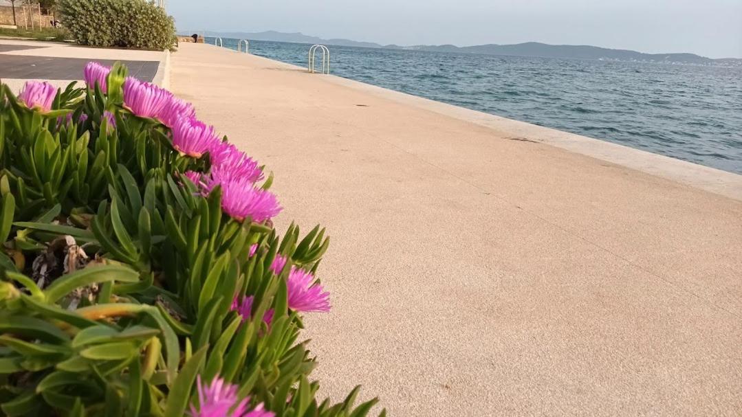 Apartman Sandra -Private Parking And Garden Zadar Exterior foto